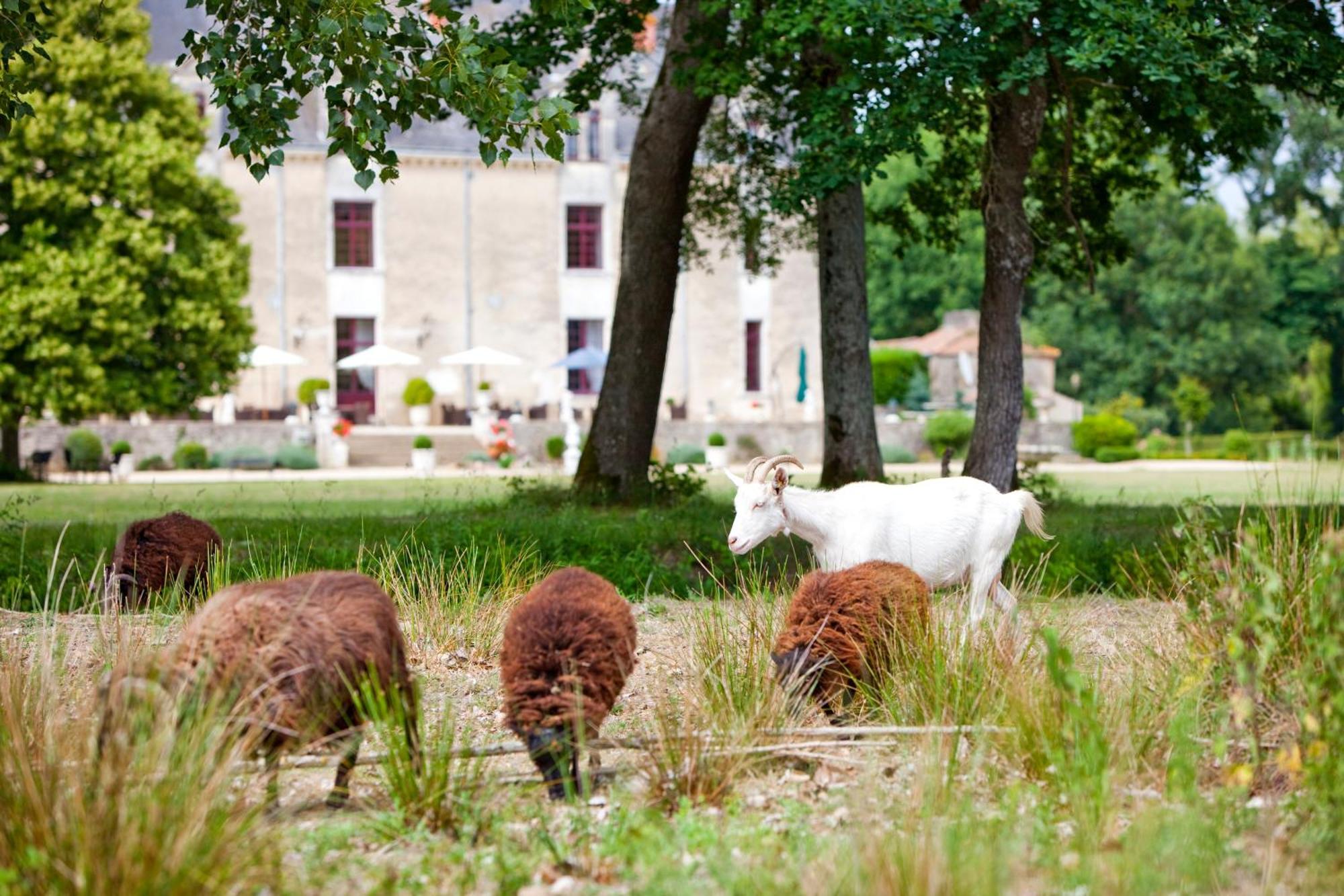 Chateau De La Verie Challans Dış mekan fotoğraf